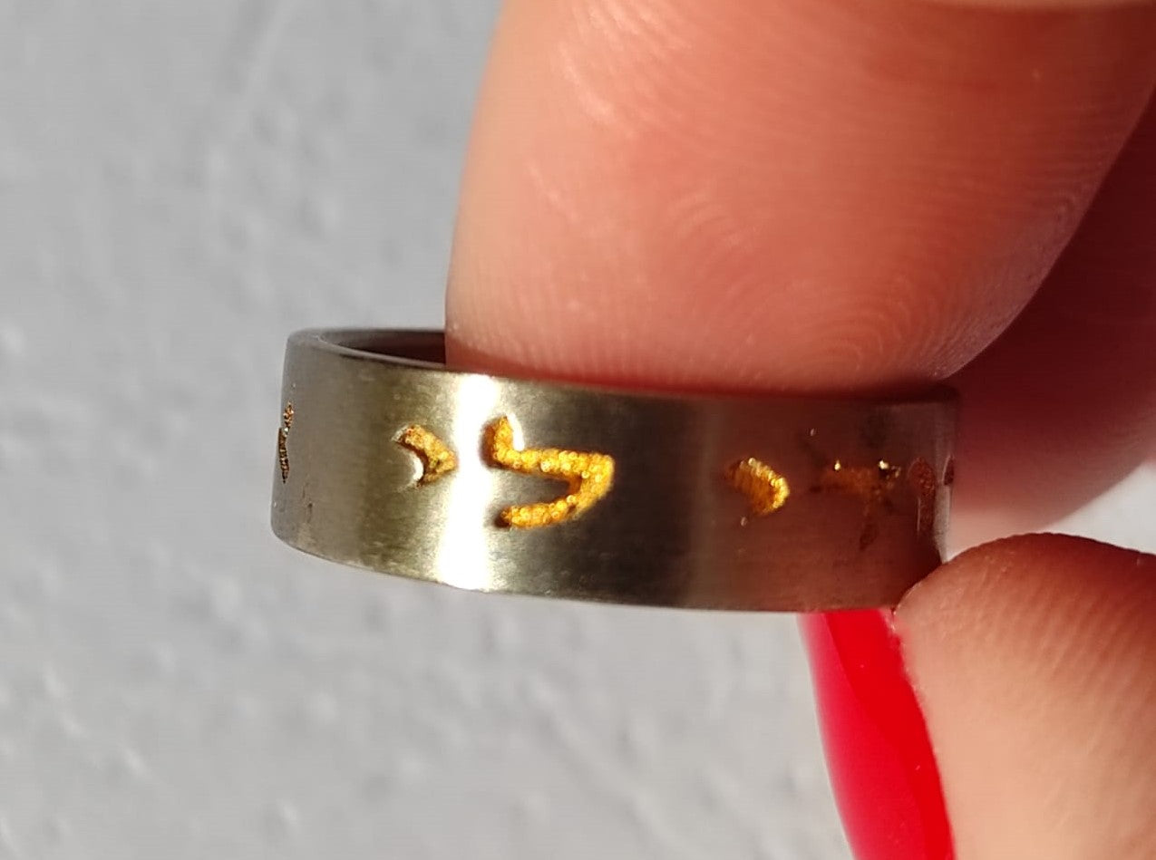 Song of Songs 6;3 I am my Beloved's and my Beloved is mine Stainless Steel ring with Gold inlay, Ani Le Dodi Ve Dodi Li 1.3mm thick and 8mm wide Unisex